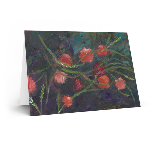 Greeting Card. Apricot Melaleuca
