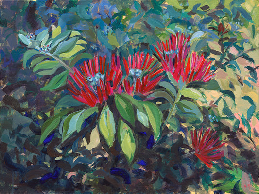 Red Pōhutukawa