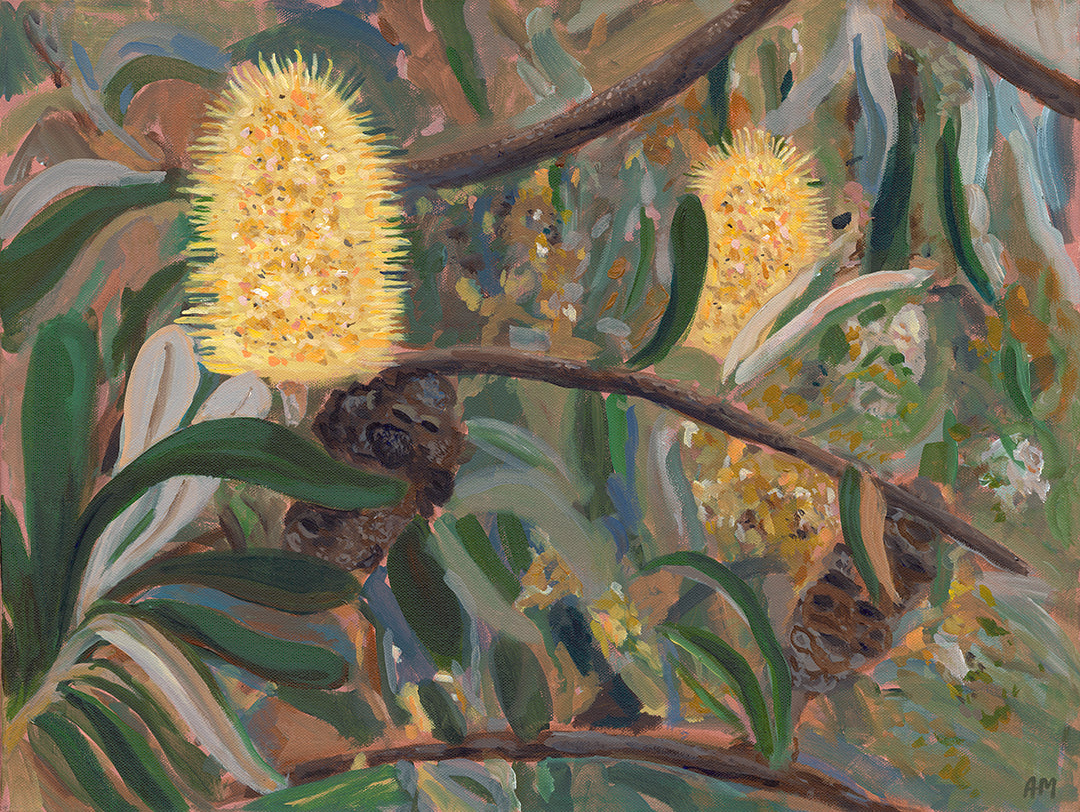 Yellow Banksia