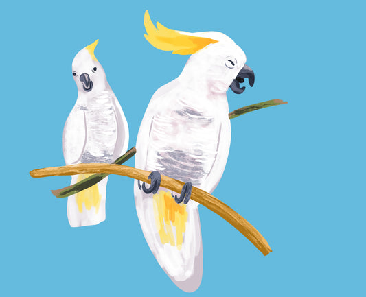 All Things Aussie, A–Z: An Alphabet of Australia